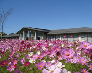 行事、イベント